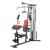 Силовая станция Weider PRO 6900 (аналог 8700)